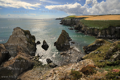 Irlandia, Nohoval Cove. Kliff polozone na poludniowy...