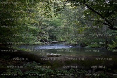 Babi Dol. Jar Raduni. 21.09.2014 fot. Pawel Marcinko...