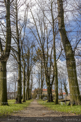 Nieistniejący cmentarz przy ulicy Wita Stwosza w Pruszczu...
