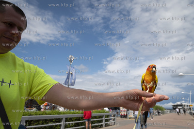 Otwarcie Mariny Puck. 

22.07.2023 Fot. Anna Bobrowska...