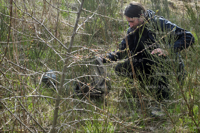 Gdansk. Staw Wrobla, dzielnica Piecki Migowo. Spoleczna...