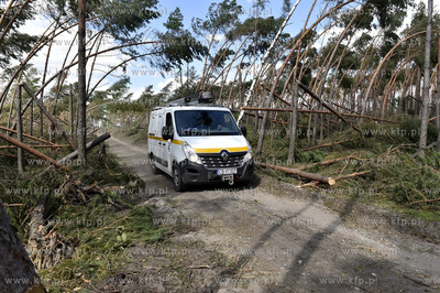 Skutki wichury na Pomorzu. Orlik na Kaszubach w gminie...