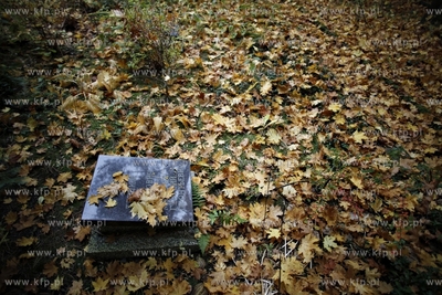 Sopot. Cmentarz Zolnierzy Radzieckich.
24.10.2012
fot....