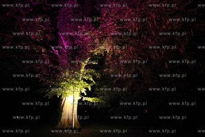 Miedzynarodowy Festiwal Mozartowski Mozartiana w Parku...