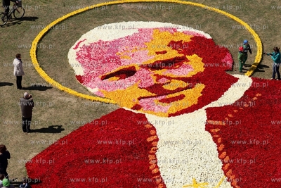 Mokry Dwor. Zulawski Tulipan. Z okolo jednego miliona...