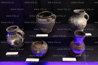 Uroczyste otwarcie Piwnicy Romanskiej z XIIIw., ktora...