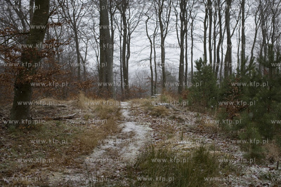Trójmiejski Park Krajobrazowy. Szlak niebieski, Dolina...