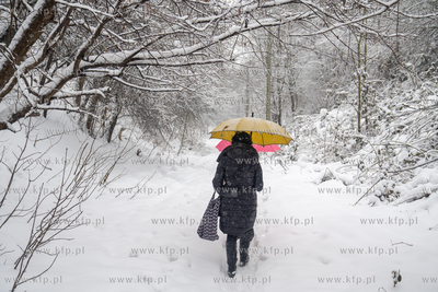 Intensywne opady śniegu w Gdańsku. 13.03.2026 fot....