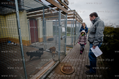 Gdansk. Schronisko dla bezdomych zwierzat Promyk. Akcja...