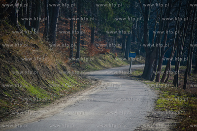 Gdansk. Oliwa, Trojmiejski Park Krajobrazowy. Asfaltowa...