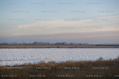 Skuta lodem Wisla na wysokosci przeprawy promowej w...