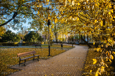 Gdańsk. Wrzeszcz. Jesien w Parku Kuźniczki. 29.10.2016...