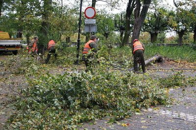 Sopot. Skutki wichury, ktora szalala w nocy w Sopocie....