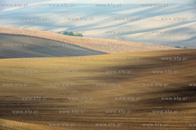 Morawy. Czechy. Okolice miejscowosci Kijev. Nz. pola...