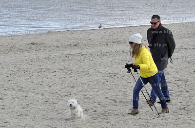 Plaza. Sopot. Okolice Molo. Psy na plazy. 27.02.2016...