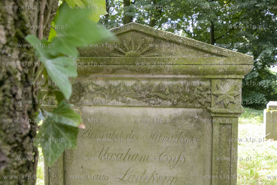 Cmentarz mennonicki z II połowy XVIII wieku w Stawcu...