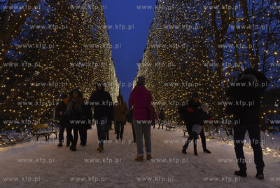 Gdańsk. Iluminacja świąteczna w Parku Oliwskim....