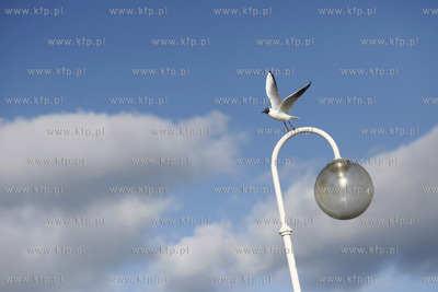 Sopot. Molo.
03.03.2010
fot. Krzysztof Mystkowski...