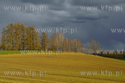 Kaszubski krajobraz w gminie Szemud. 25.04.2021 / fot....
