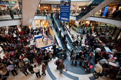 Gdansk. Galeria Baltycka. Obchody swiatowego dnia kota....