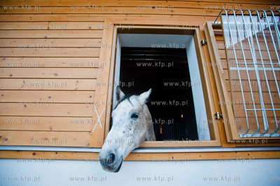 Sopot. Otwarcie Centrum Jezdziectwa Hipodrom Sopot.
01.12.2013
fot....