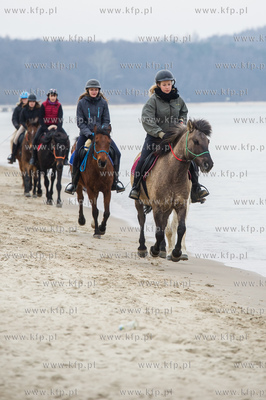 Sobotnia przejazdzka konna po plazy w Sopocie.
07.03.2015
fot....