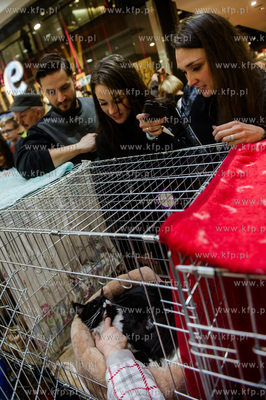 Gdansk. Wrzeszcz. Dzien Kota w CH Galeria Baltycka.
21.02.2016
fot....