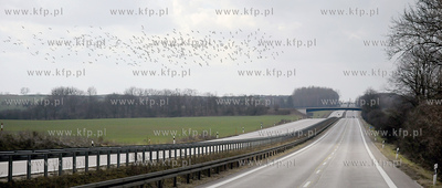 Trasa Szczecin - Berlin. 
10.03.2009
Fot. Andrzej...
