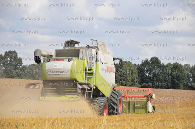 Zniwa w okolicy Pelplina
07.08.2009
fot. Krzysztof...