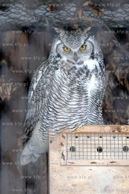 Zima w Miejskim Ogrodzie zoologicznym Wybrzeza w Gdansku...