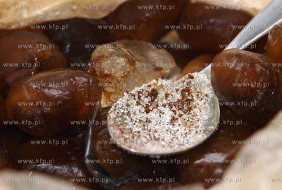 Muzeum Kaszubskie w Kartuzach. Prezentacja przygotowywania...