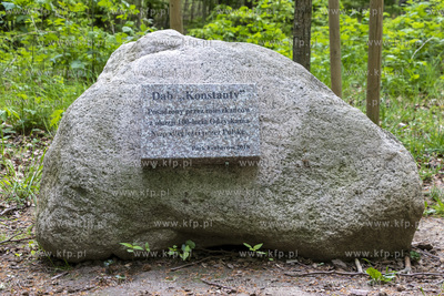 Park Ferberów w Gdańsku Lipcach. Na terenie parku...