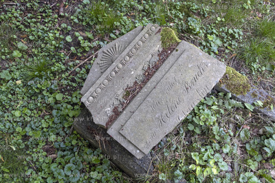 Największy w Polsce, wpisany w 1988 roku do rejestru...