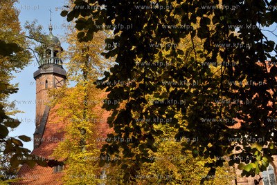 Zukowo. Kosciol WNMP. 21.10.2012 Fot. Maciej Kosycarz...