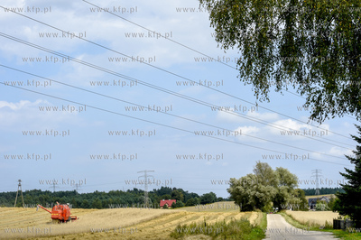 Gdańsk Kokoszki. Żniwa. Okolice ul. Gostyńskiej...
