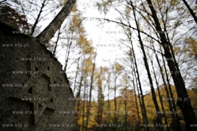 Sopot. Zydowski cmentarz.
24.10.2012
fot. Krzysztof...