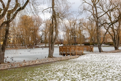 Zima w Parku Oruńskim.  04.02.2019 / Fot. Anna Rezulak...
