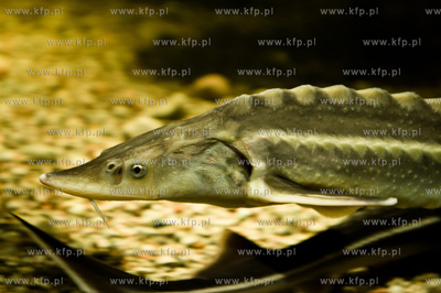 Sopot. Budynek dawnego klubu nocnego Enzym. Nowo otwarte...