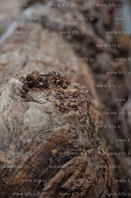 Gdansk. Budowa Osiedla Wolne Miasto Gdansk przy ulicy...