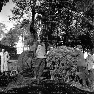 Prace porządkowe na terenach zielonych. (lata50)
1959
0005243z
Fot....