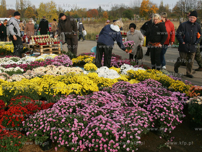 Swieto Zmarlych na szczecinskim cmentarzu centralnym.Jest...