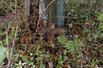 Opuszczony poniemiecki cmentarz w miejscowosci Osowo...