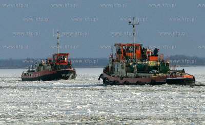 Szczecin. Wspolna akcja polskich ( Dzik, Lis, Zbik,...