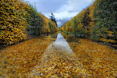 Gdansk Oliwa Park. Fragment parku z basenem parkowym.Poczatkiem...