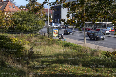 Skwer im. prof. Jerzego Sampa położony  między kanałem...