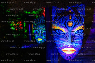 Przedpremierowy pokaz iluminacji w Lumina Park na terenie...