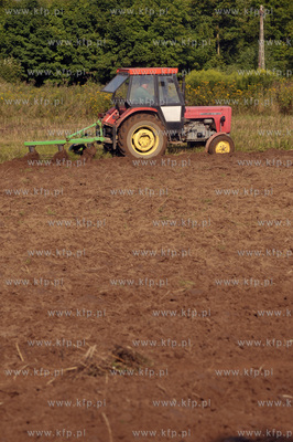 Orka na polu w Leznie na Kaszubach przy drodze w kierunku...