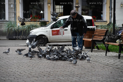 Gdańsk, Park Świętopełka.Mężczyzna karmiący...