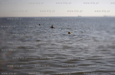 Sopot. Plaza cz. poludniowa.
02.07.2010
fot. Krzysztof...