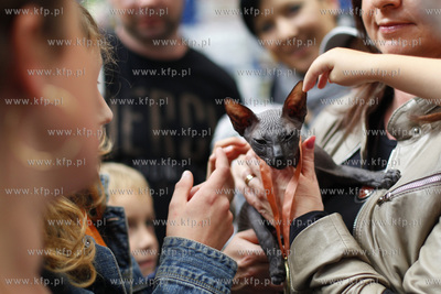 Sopot. Hala 100-lecia Sopotu. Miedzynarodowa Wystawa...